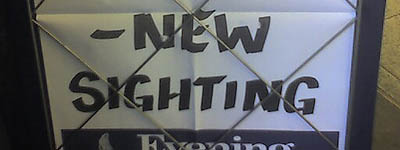 - New Sighting