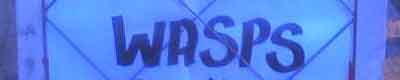 Wasps